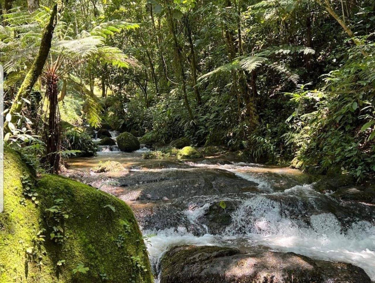 Pousada Caminhos De Gaia São Francisco Xavier Dış mekan fotoğraf