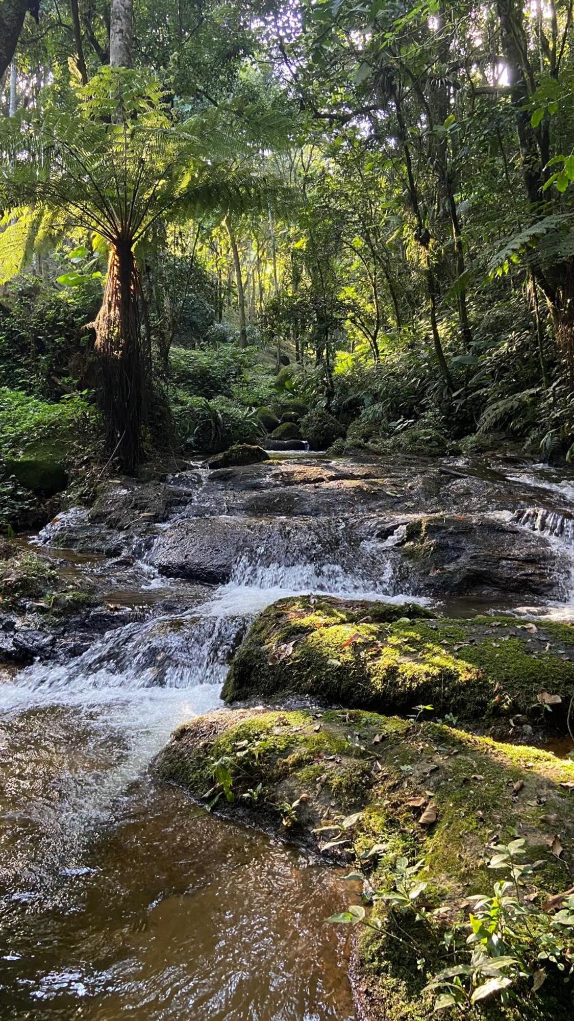 Pousada Caminhos De Gaia São Francisco Xavier Dış mekan fotoğraf